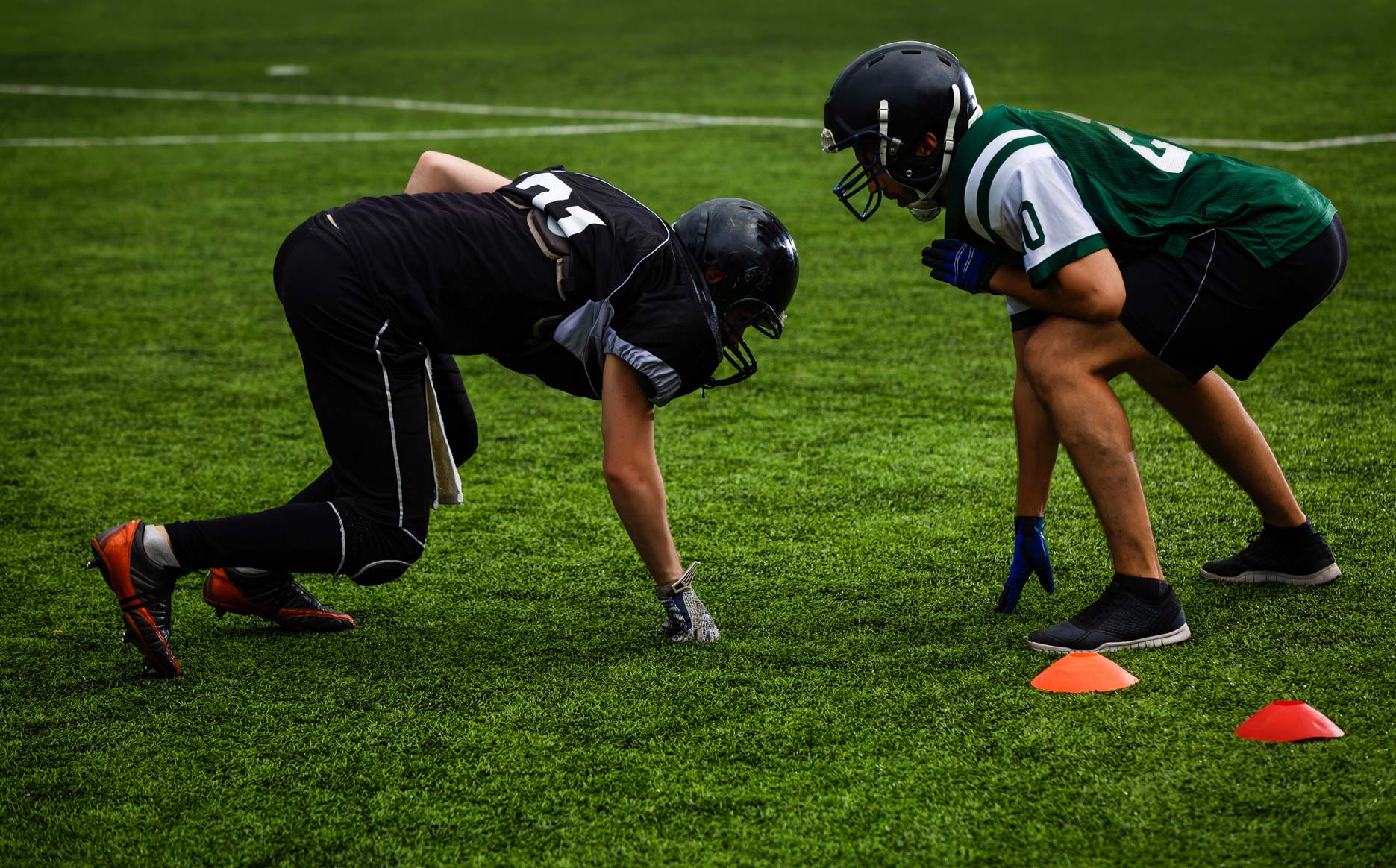 Norfolk Indoor Sports Turf
